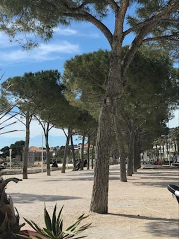 La Ciotat : Superbe Appartement Proche Du Port Exterior foto